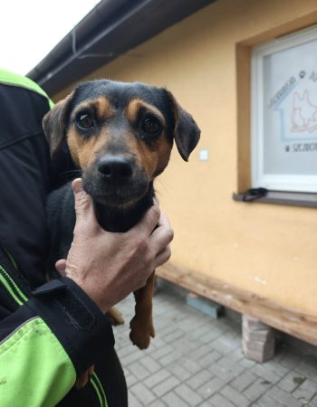 571443530_1610294676971157_4520805916485714493_n