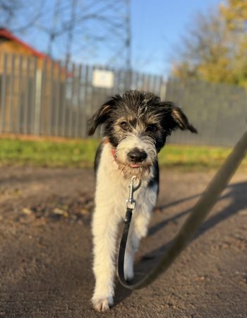 580924564_1625195868814371_6773304544423424153_n